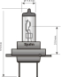Preview: Halogen-Scheinwerferlampe 12 Volt