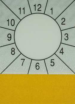 SP-PrÃ¼fplakette 60 x 85 mm, n. STVZO