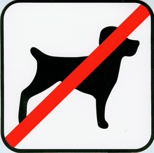 Hinweisschild -Verbot fÃ¼r Hunde- 13x13cm