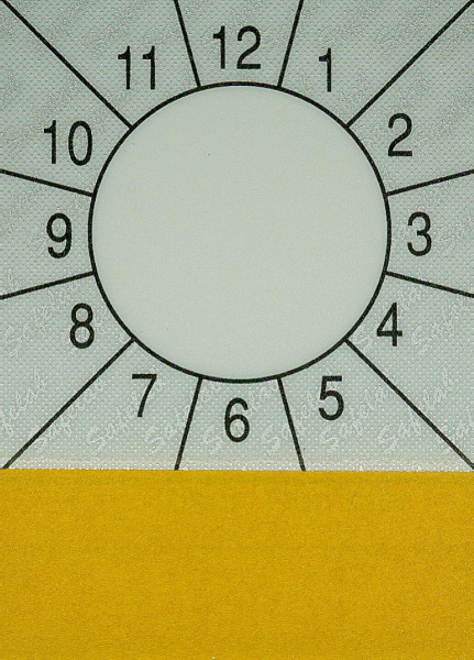 SP-PrÃ¼fplakette 60 x 85 mm, n. STVZO