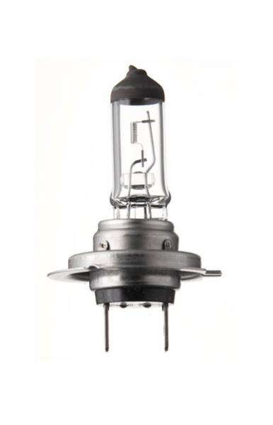 Halogen-Scheinwerferlampe 12 Volt