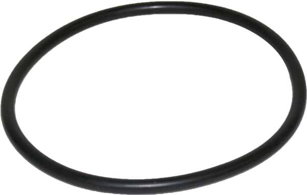O-Ring fÃ¼r Filterdose  TM 40