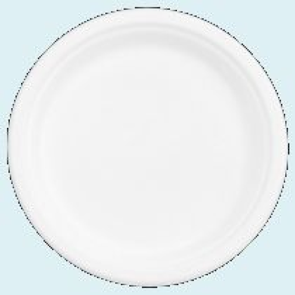 Teller rund, 220 mm aus Bagasse, Packung Ã¡ 50 St.